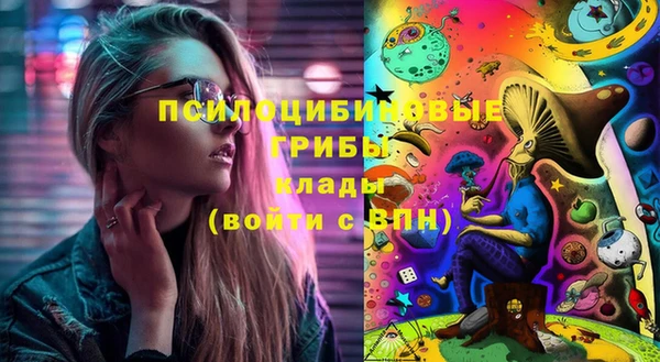 спиды Белокуриха