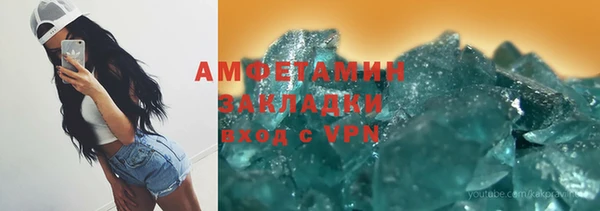 гидра Богородицк