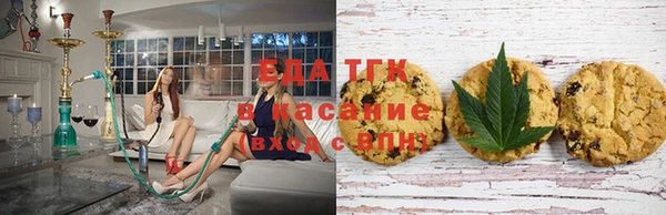 гидра Богородицк