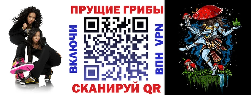 Псилоцибиновые грибы Psilocybe  Купить  Михайловка 